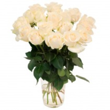 Սպիտակ 19 վարդ
