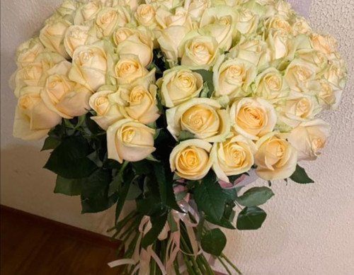 Կրեմագույն հոլանդական վարդ - նվեր