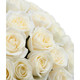51 հատ հոլանդական սպիտակ վարդ