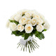51 հատ հոլանդական սպիտակ վարդ