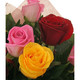 19 հատ հոլանդական վարդերով գեղեցիկ ծաղկեփունջ