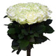 Հոլանդական վարդ White Naomi