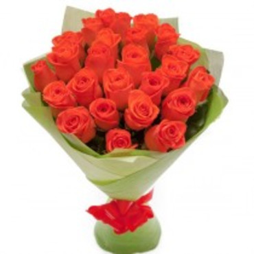 25 հոլանդական վարդեր