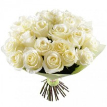 Սպիտակ 29 վարդերի քնքուշ փունջ